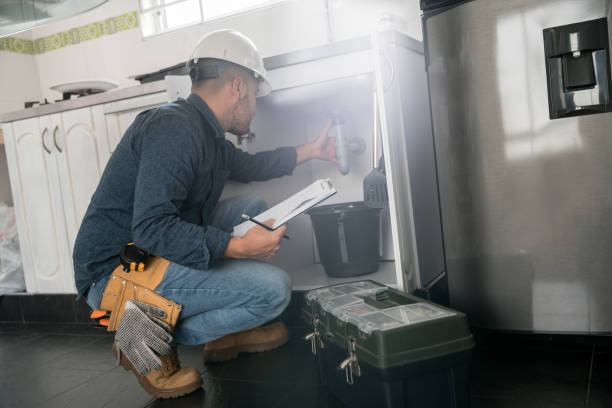 Best Residential Plumbing Services  in Poplar Grove, IL