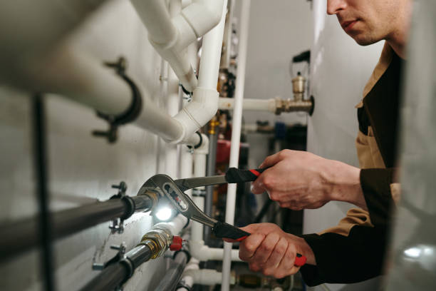 Best Commercial Plumbing Services  in Poplar Grove, IL