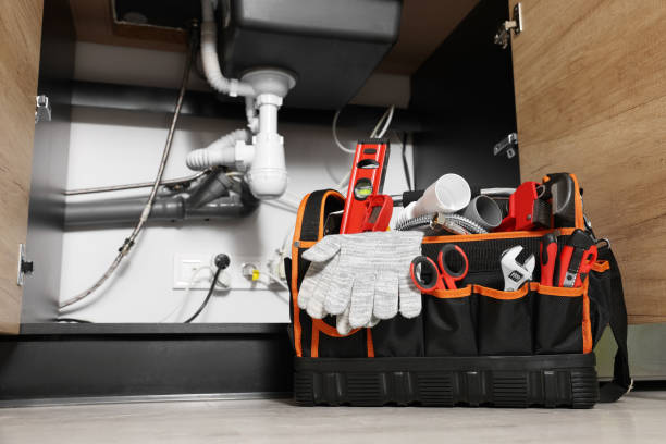 Best Plumbing Inspection Services  in Poplar Grove, IL