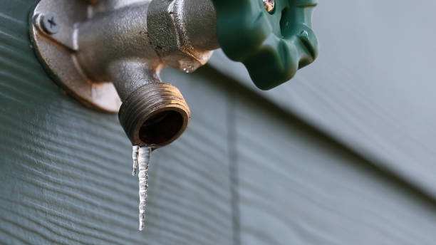 Best Plumbing Services Near Me  in Poplar Grove, IL